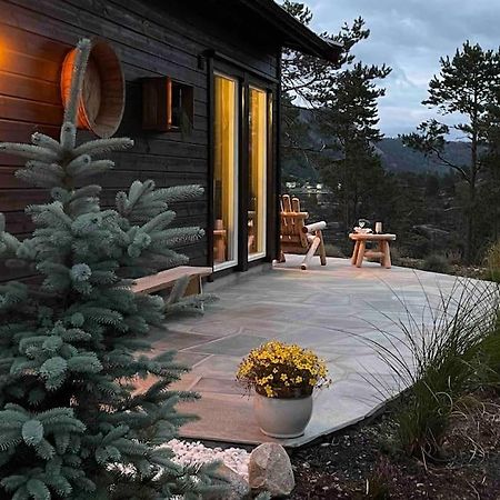 Cosy Cabin Between Lake And Mountain Treungen Exterior photo