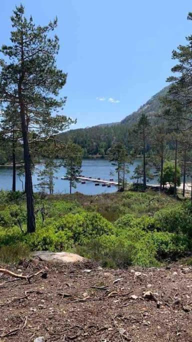 Cosy Cabin Between Lake And Mountain Treungen Exterior photo